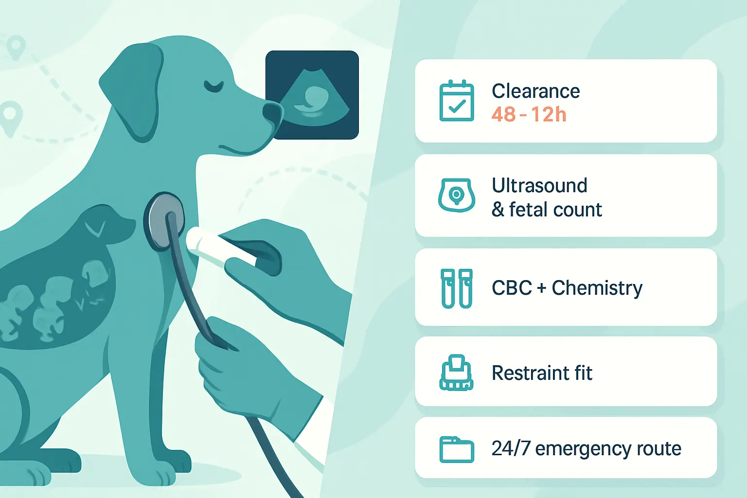 what your veterinarian should check before any trip